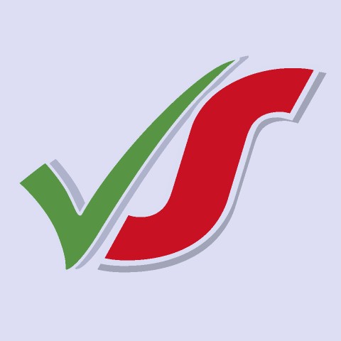 VideoStandards Channel Logo Logo VideoStandards Channel Logo Logo
